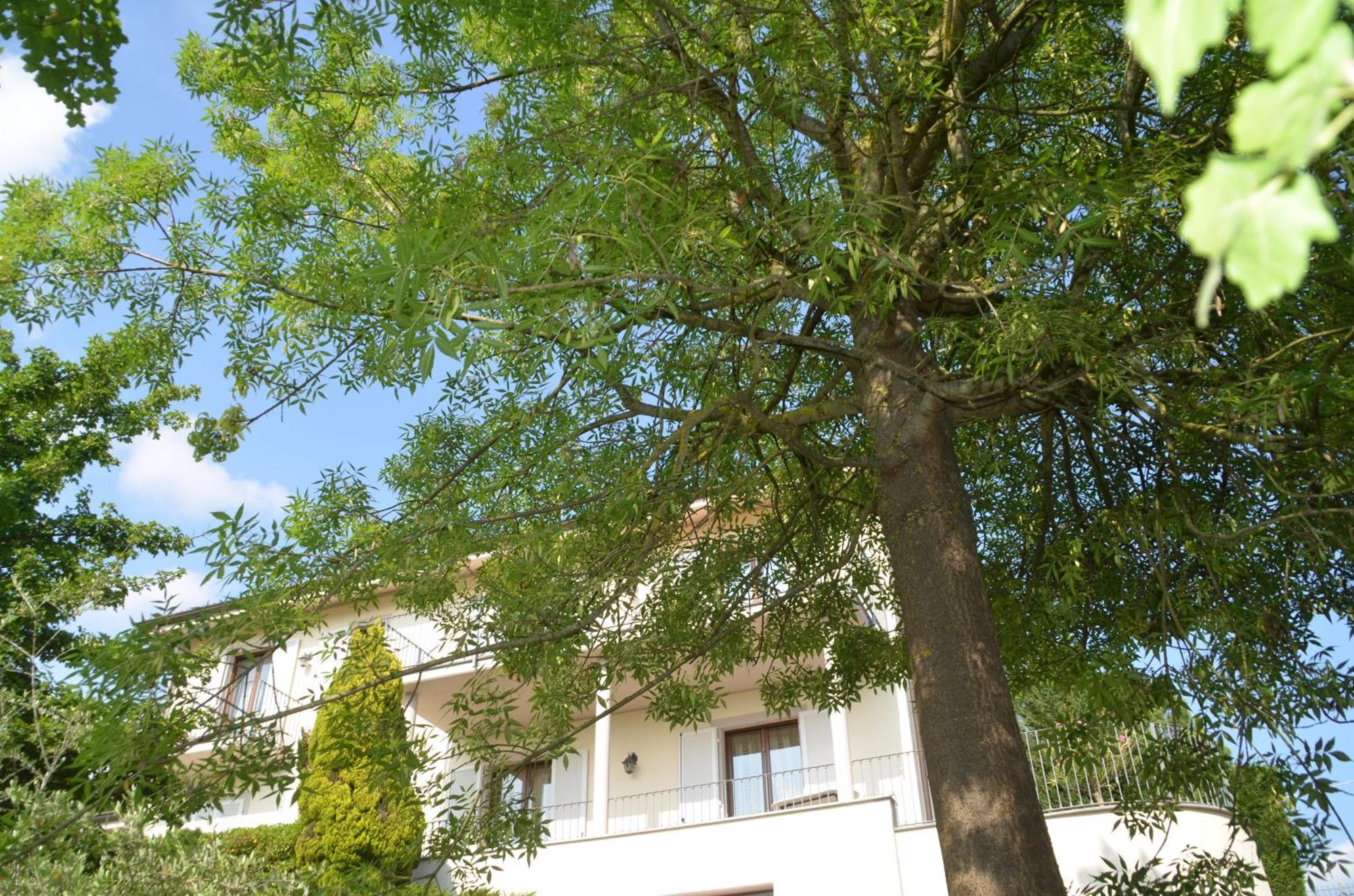 Villa Patrizia 蒙卡沃 外观 照片